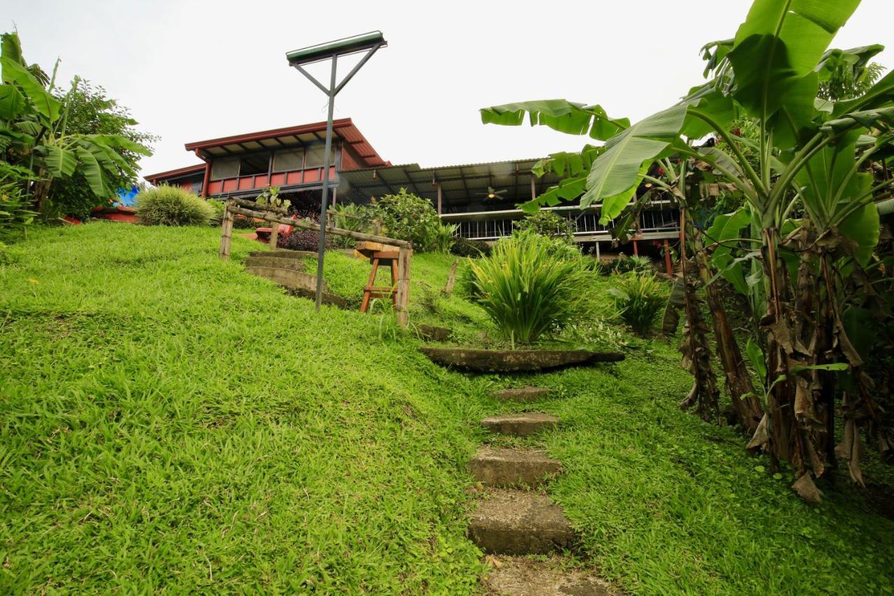Hotel Toucan Lane And Restaurant