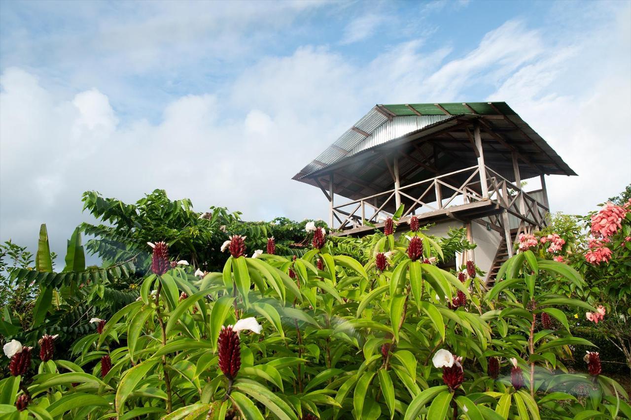 Hotel Bella Vista Corcovado Drake Bay