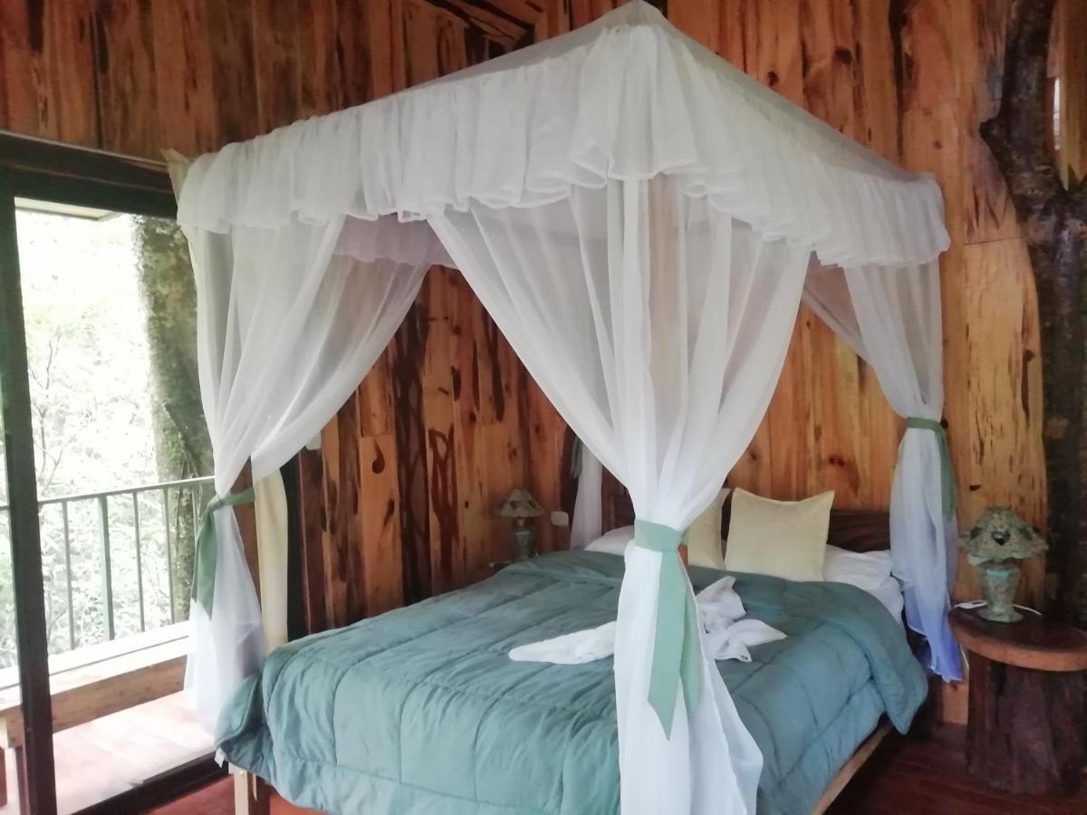 Romantic Monteverde