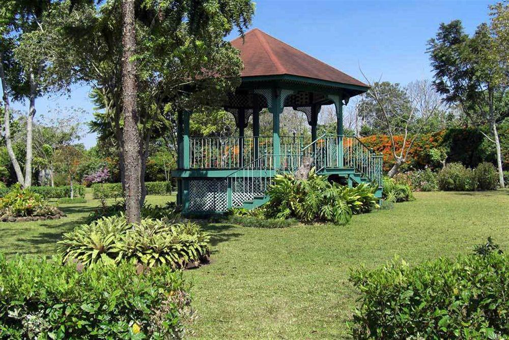 Bougainvillea San Jose Santo Domingo De Heredia