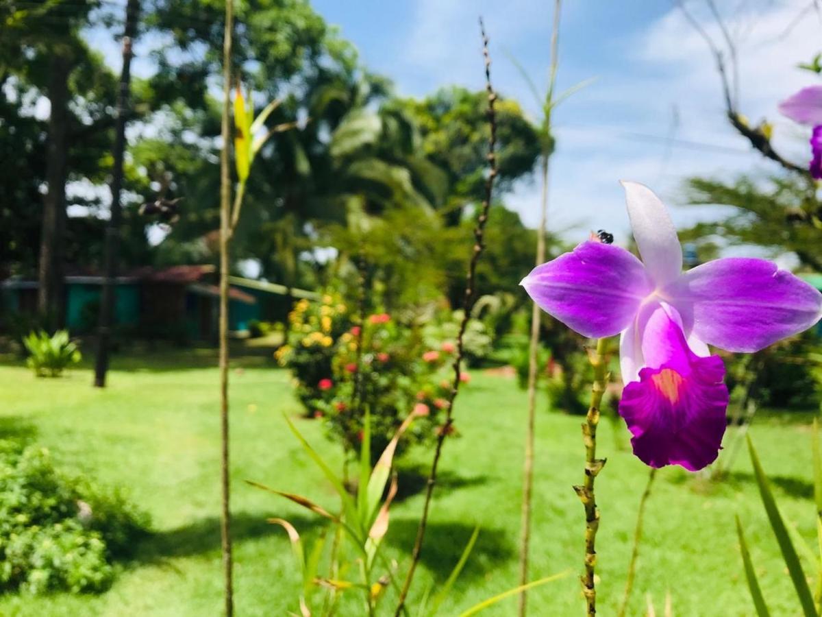 Rankins Eco-lodge * Tortuguero