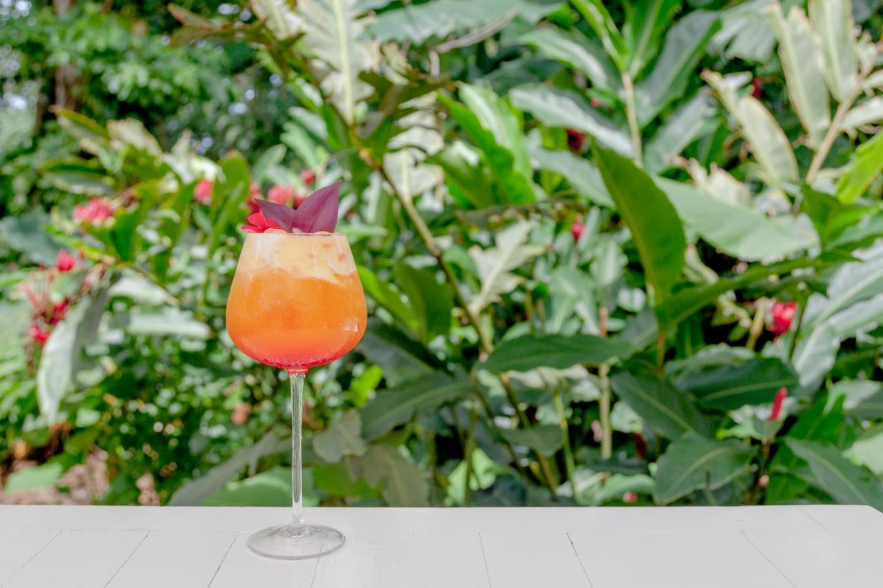 Le Cameleon Boutique 5* Puerto Viejo de Talamanca
