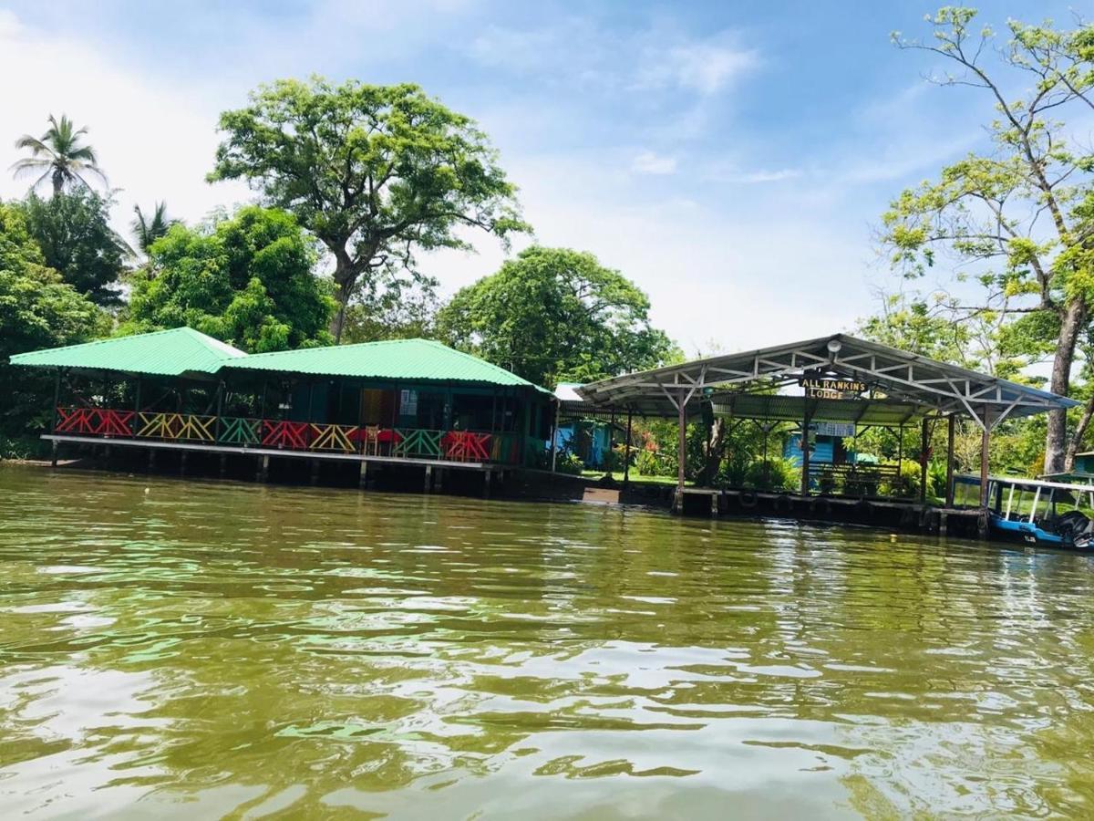 Rankins Eco-lodge Lodge