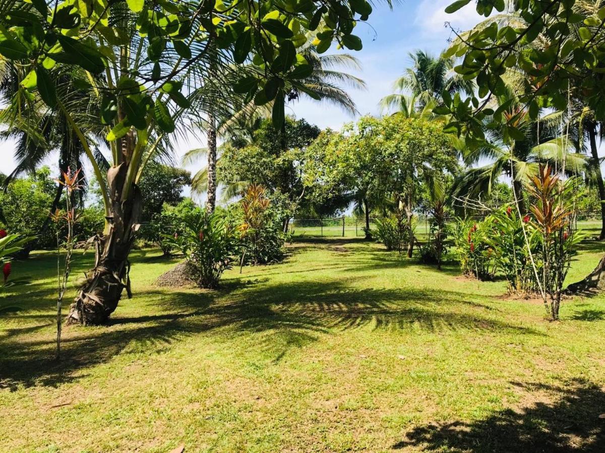 Rankins Eco-lodge Tortuguero