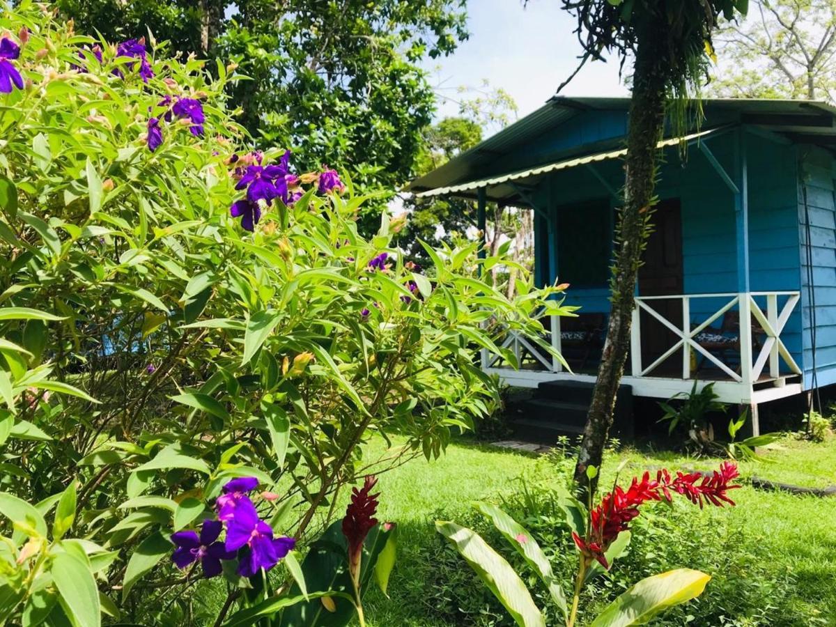 Rankins Eco-lodge Tortuguero