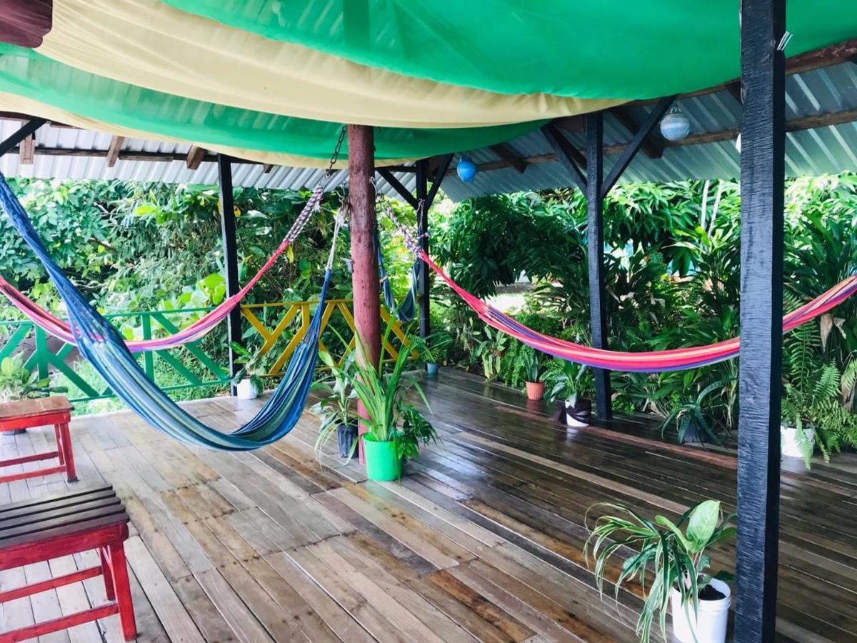 Rankins Eco-lodge Lodge