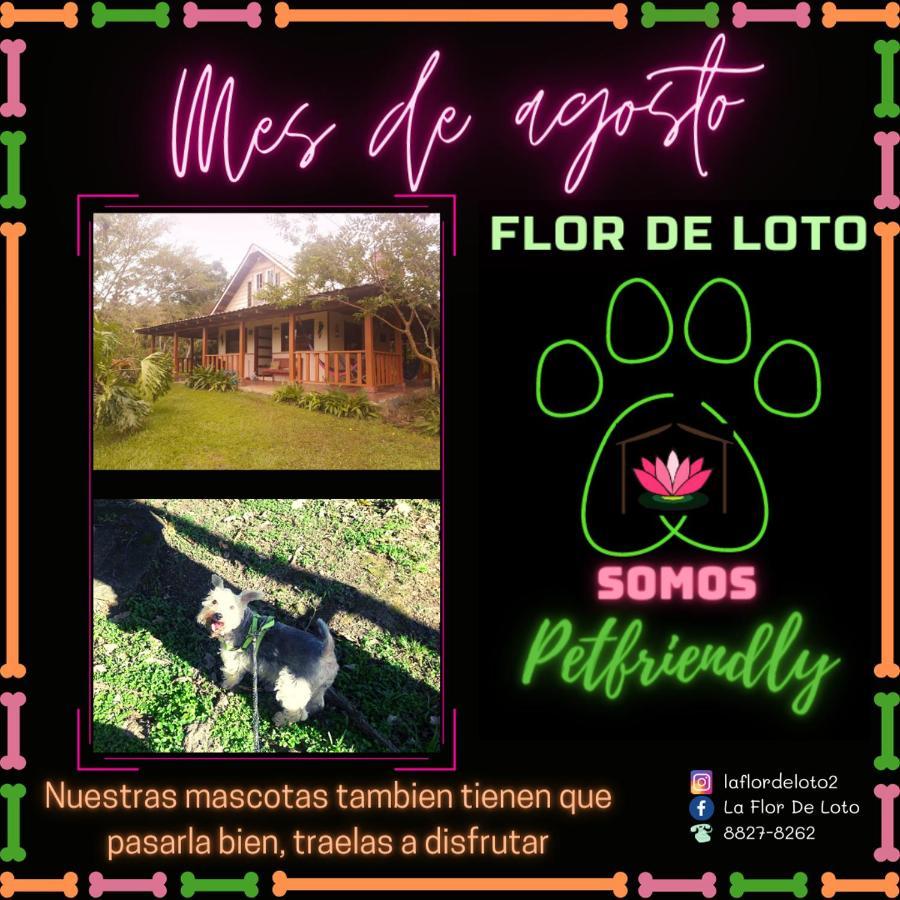 La Flor De Loto Chalet Cartago