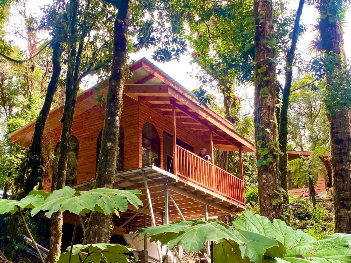 Cabana Anturios San Jose (San Jose)