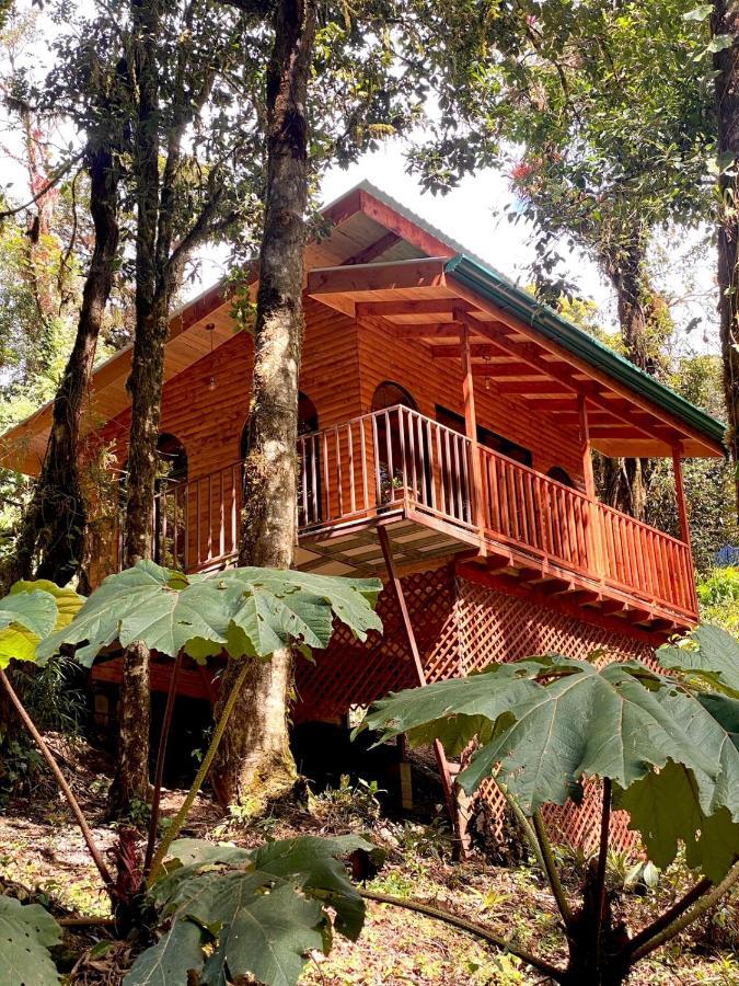 Cabana Anturios Hotel San Jose (San Jose)