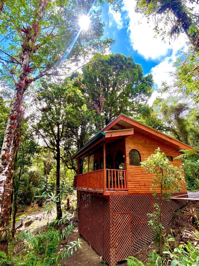 Hotel Cabana Anturios San Jose (San Jose)