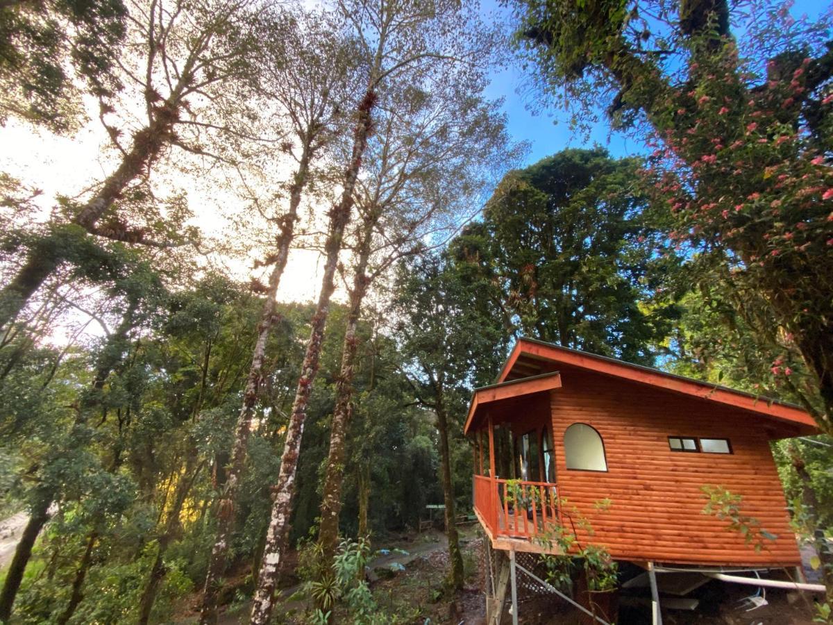 Cabana Anturios San Jose (San Jose)