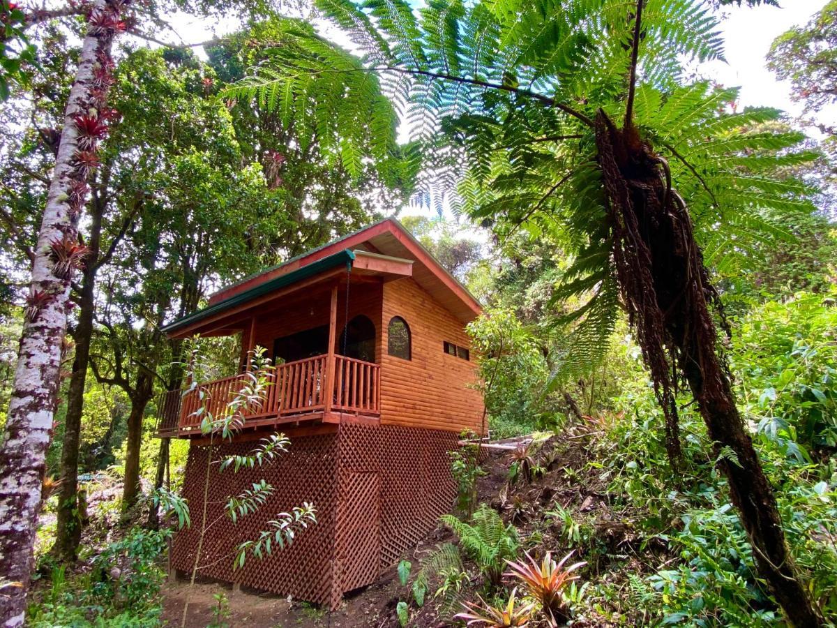 Cabana Anturios Hotel San Jose (San Jose)