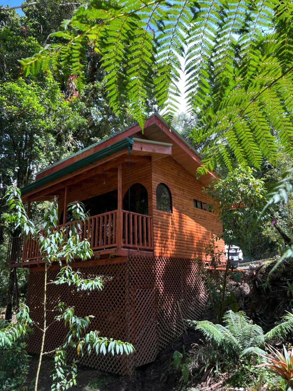 Cabana Anturios