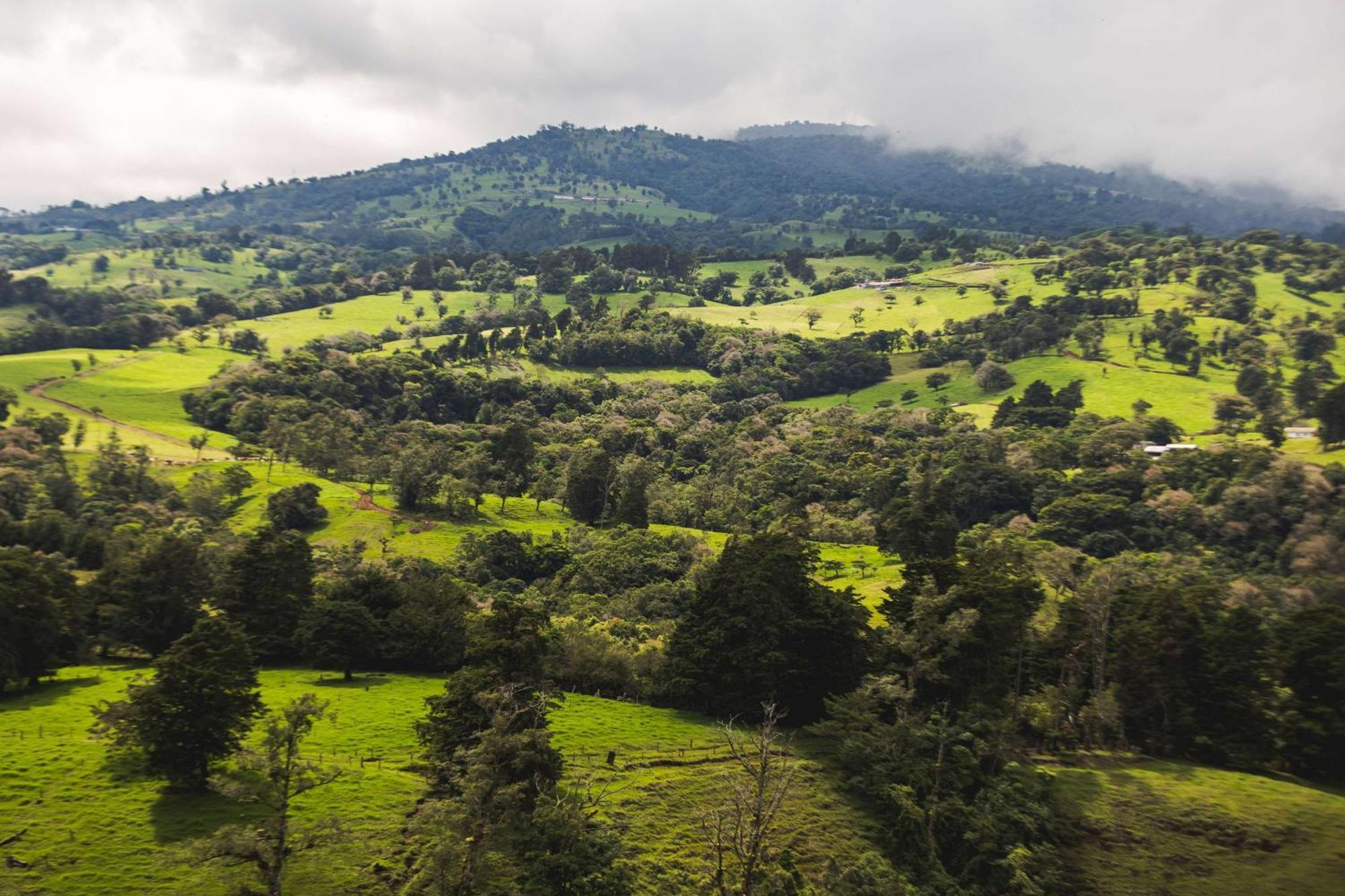 Hyatt Centric Escazu 3*