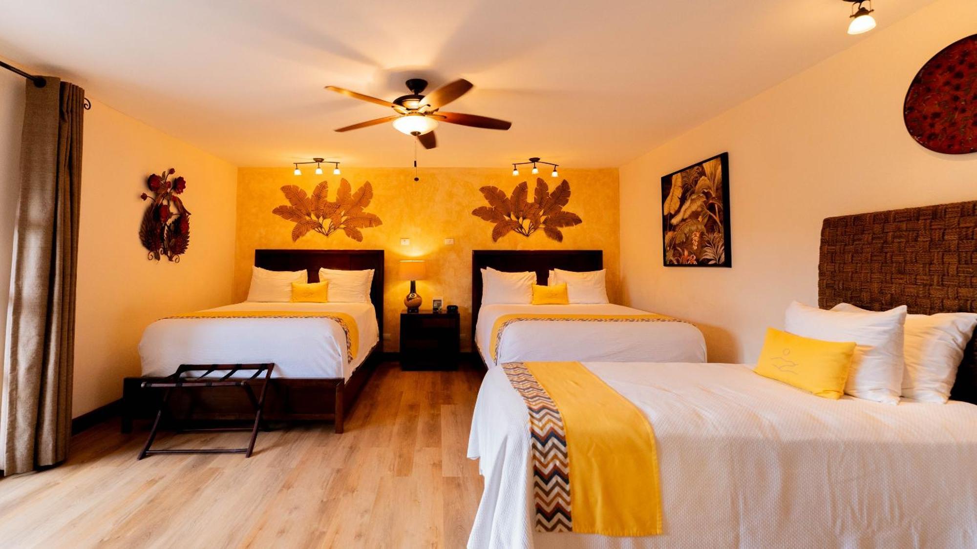 Hotel Buena Vista Chic