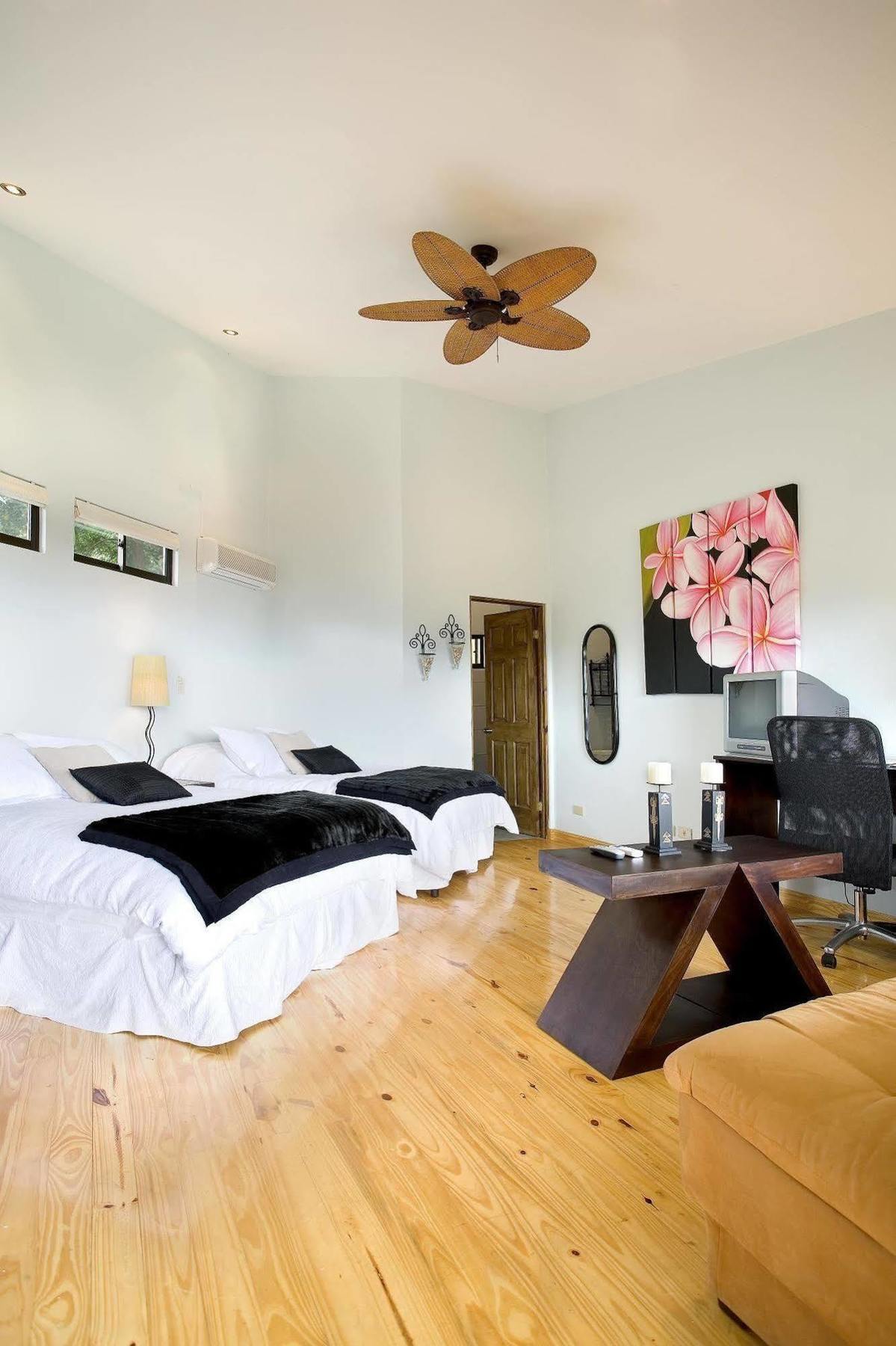 Out Of Bounds Boutique Hotel San Jose (San Jose)