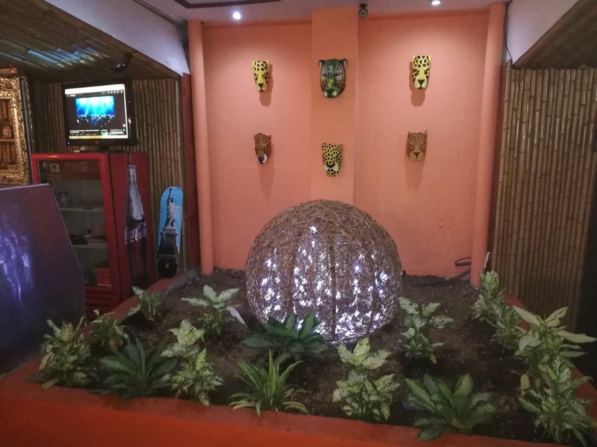 Best Hostel San Jose 3*