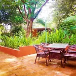 Casa Mapache