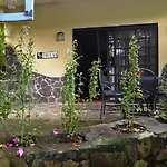 Pura Vida Hotel