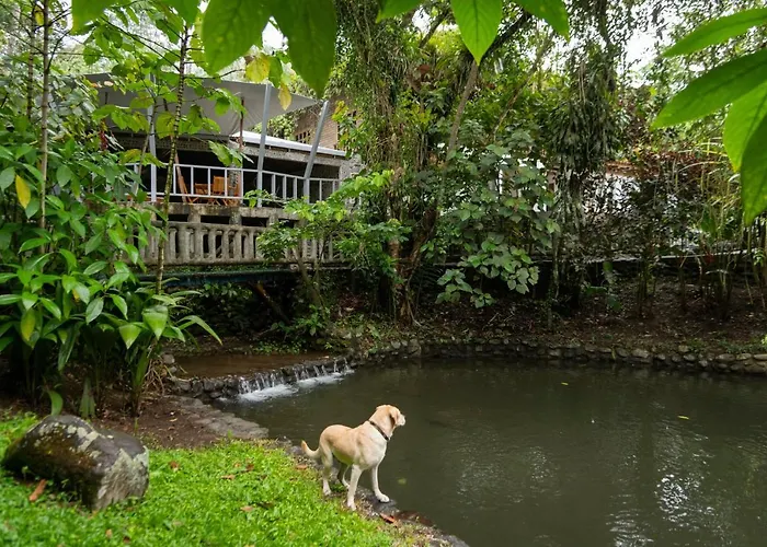 Rancho Margot Sustainable & Self Sufficient Eco Lodge