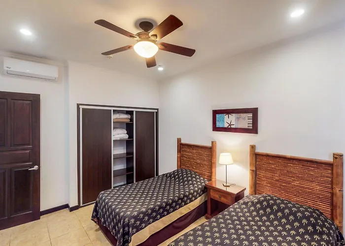 The Palms 501