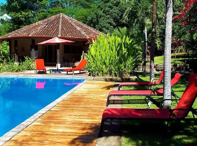 Casa Mapache