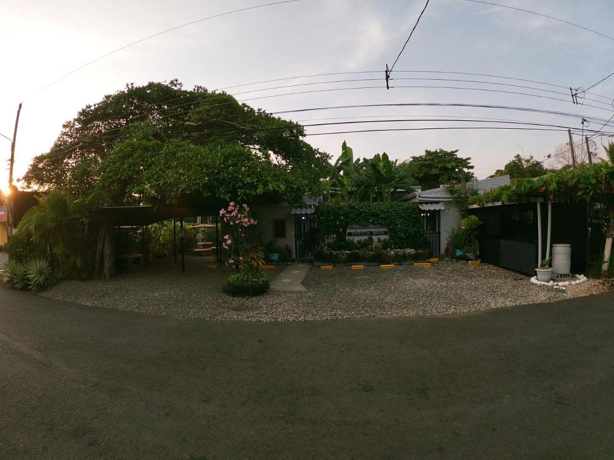 Hotel Perico Azul & Surf Camp 3*