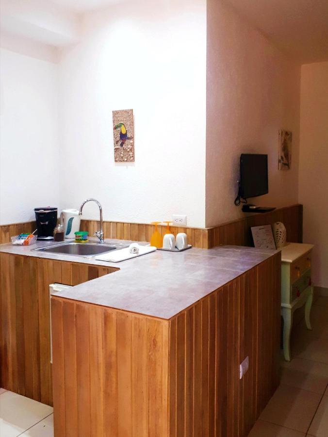 Guest house Casa Mapache