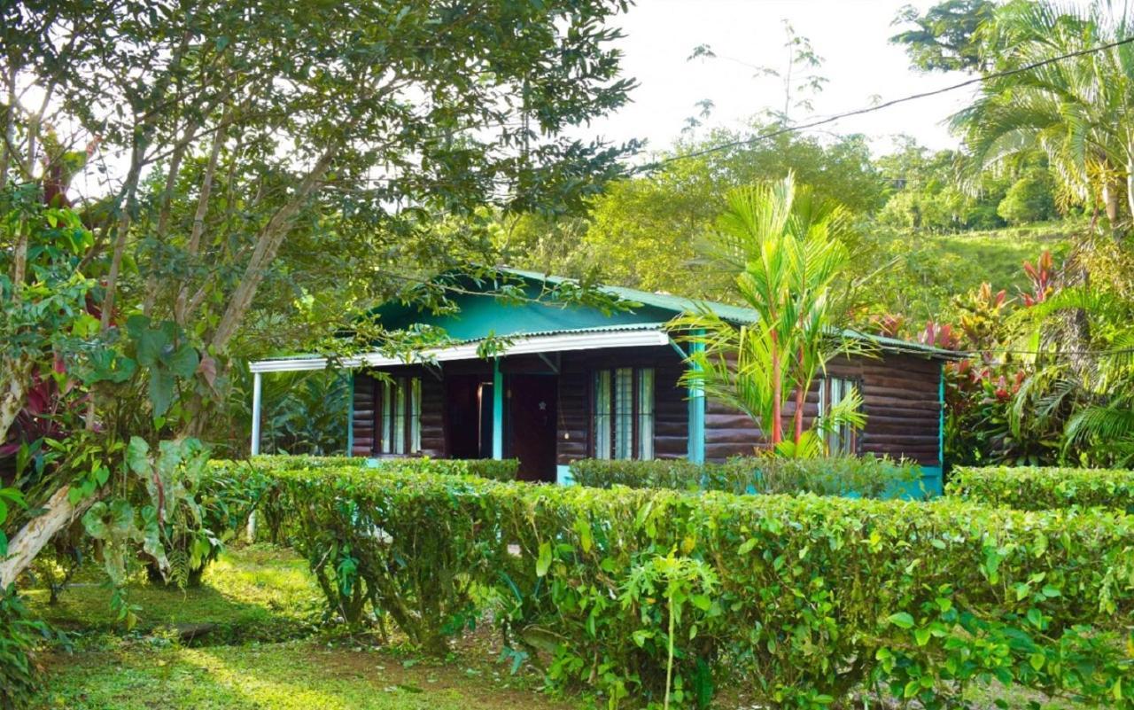 La Amistad Bed & Breakfast