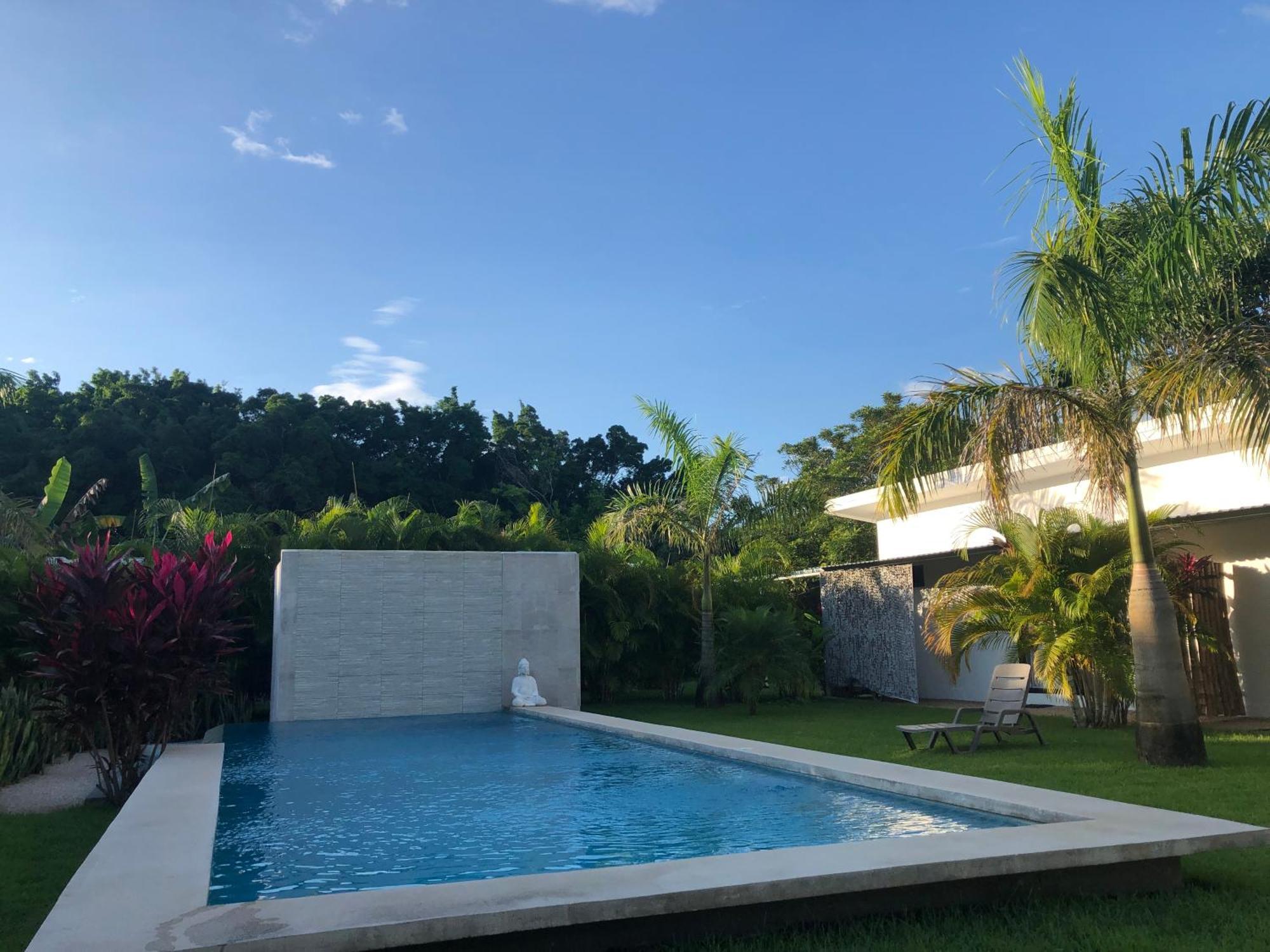 Seahorse Tamarindo