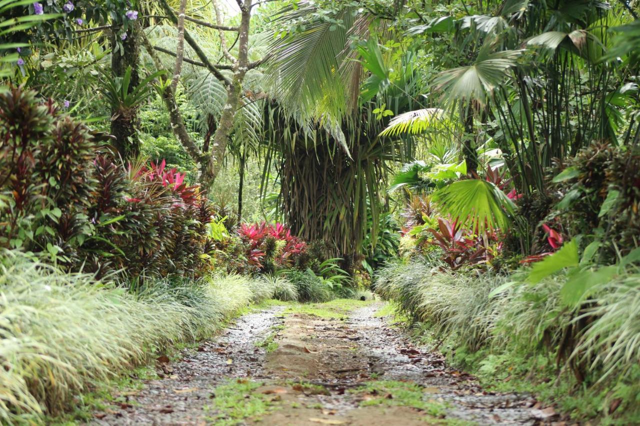 Princesa De La Luna Lodge La Fortuna
