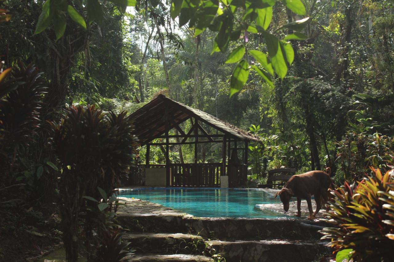 Princesa De La Luna Lodge *