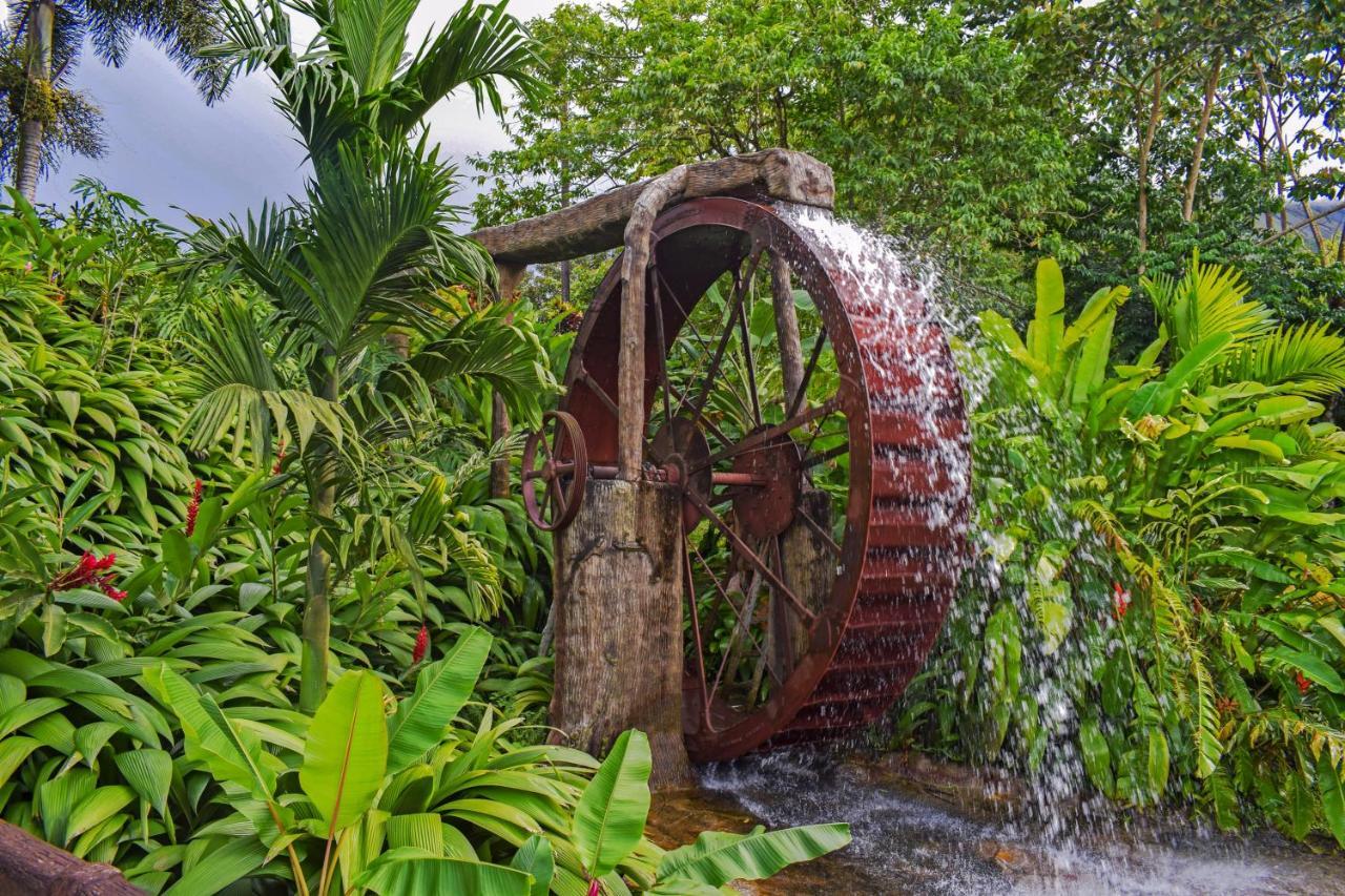 Lagos & Thermal Experience Resort 3*