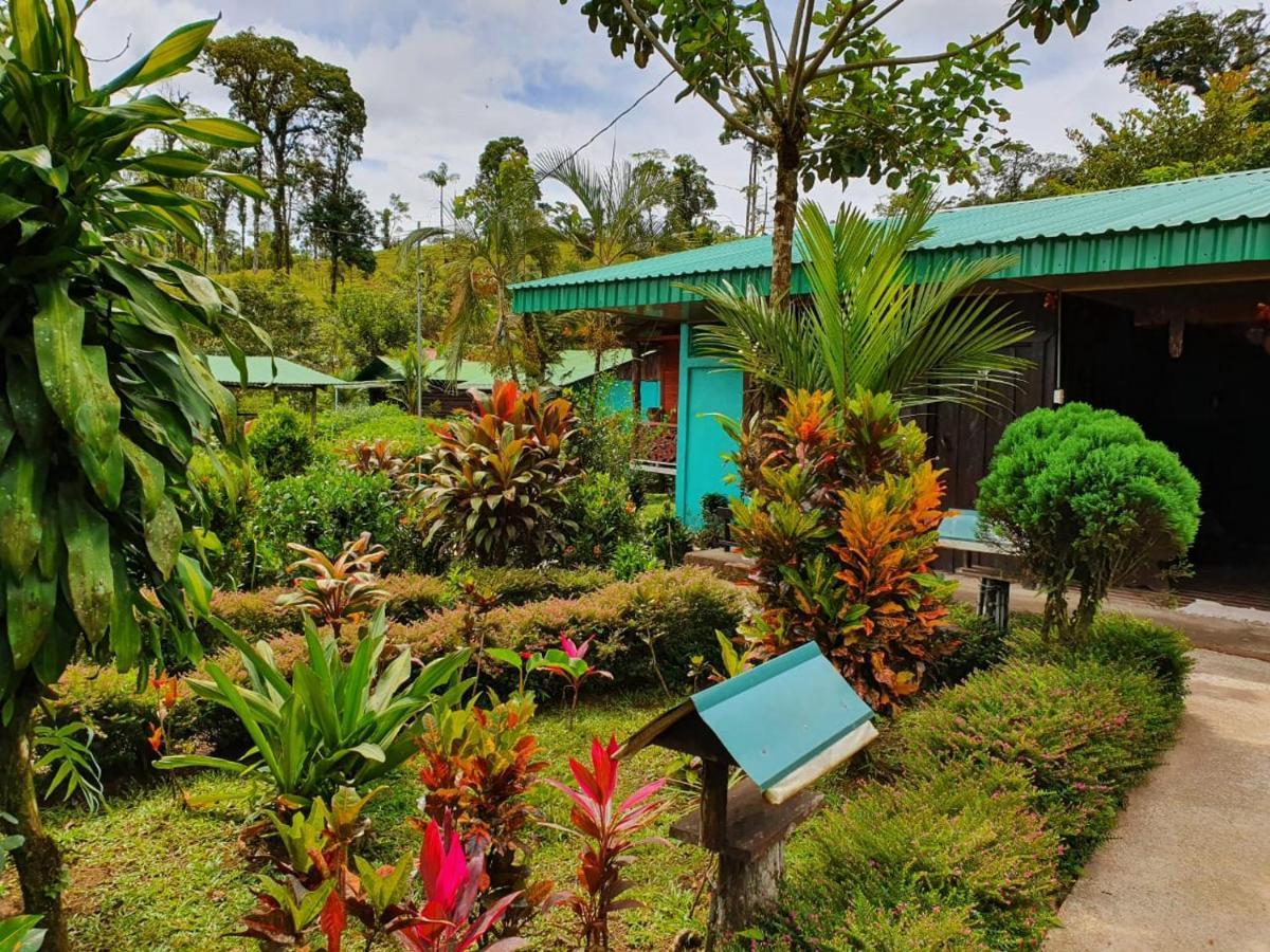 Bed & Breakfast La Amistad 2*