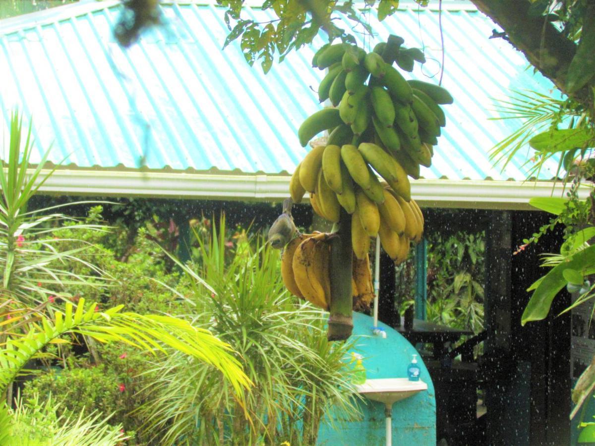 La Amistad Rio Celeste