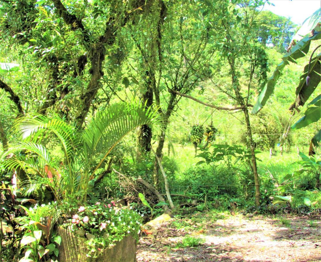 La Amistad Bed & Breakfast