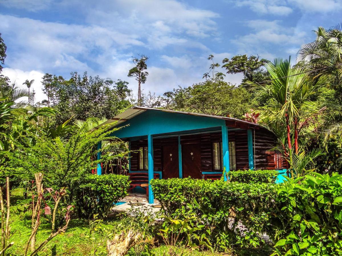 Bed & Breakfast La Amistad 2*