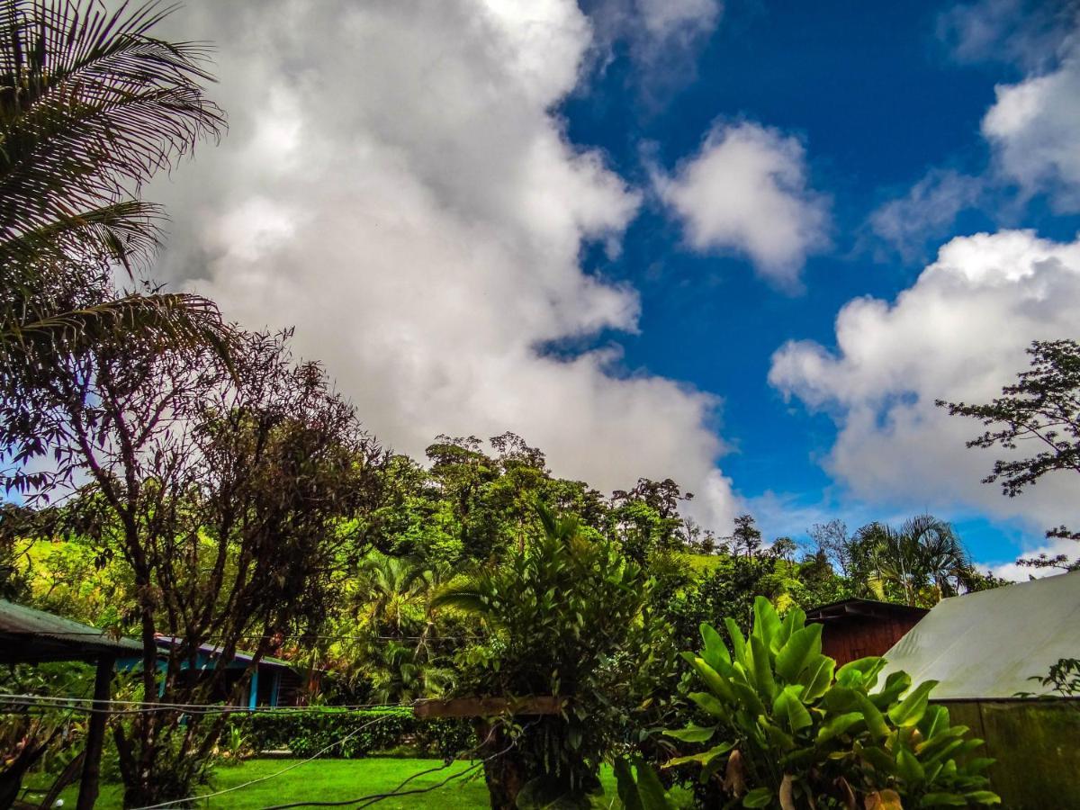 Bed & Breakfast La Amistad 2*