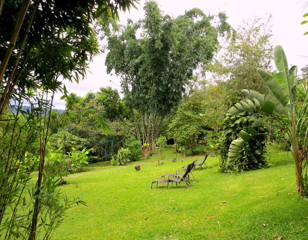 Pura Vida 4* Alajuela