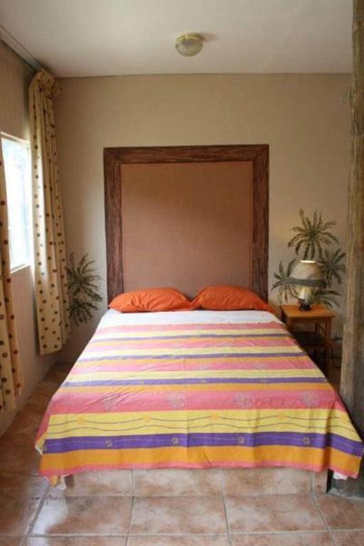 Guest house Cabinas Flamingo *