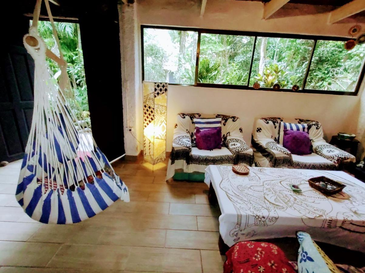 Casajungla