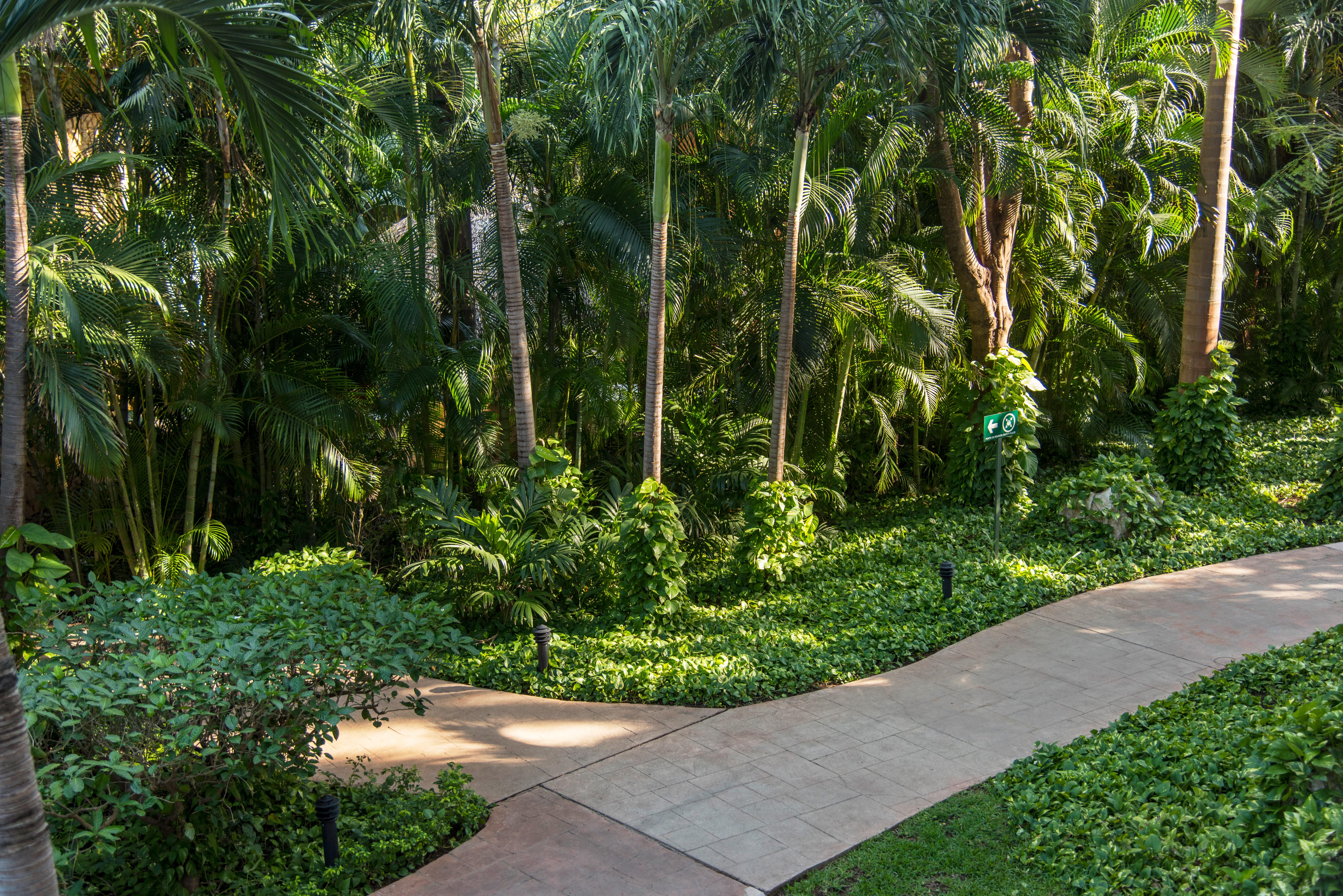 Occidental Resort