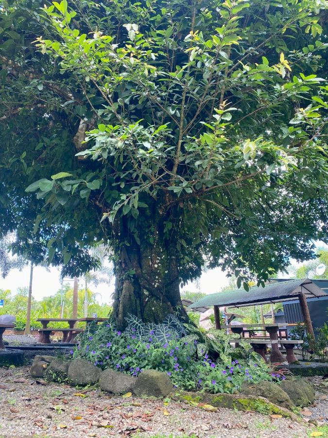 Termales Del Arenal La Fortuna