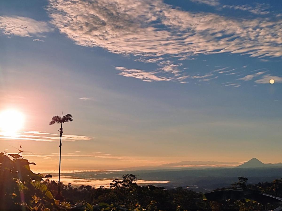 Rio Celeste Nature View Apartment Upala