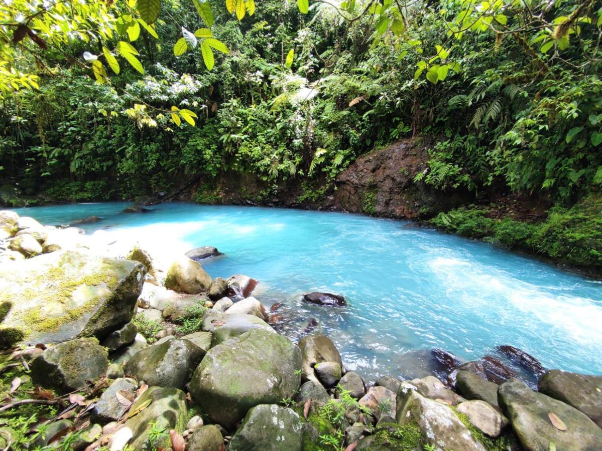 Rio Celeste Nature View *