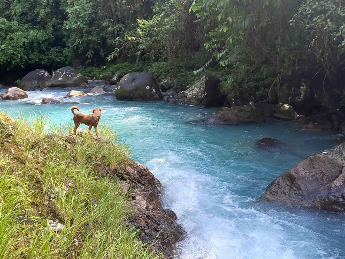 Rio Celeste Nature View Apartment *