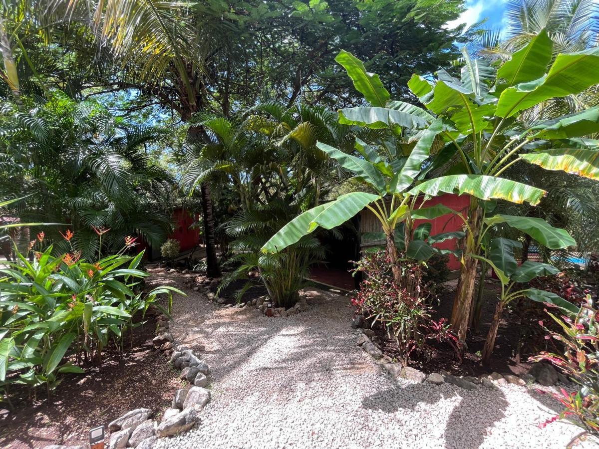 Bed & Breakfast Casa Tropical Playa Grande Cuajiniquil