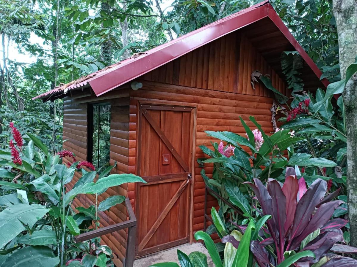 Arenal Rustic