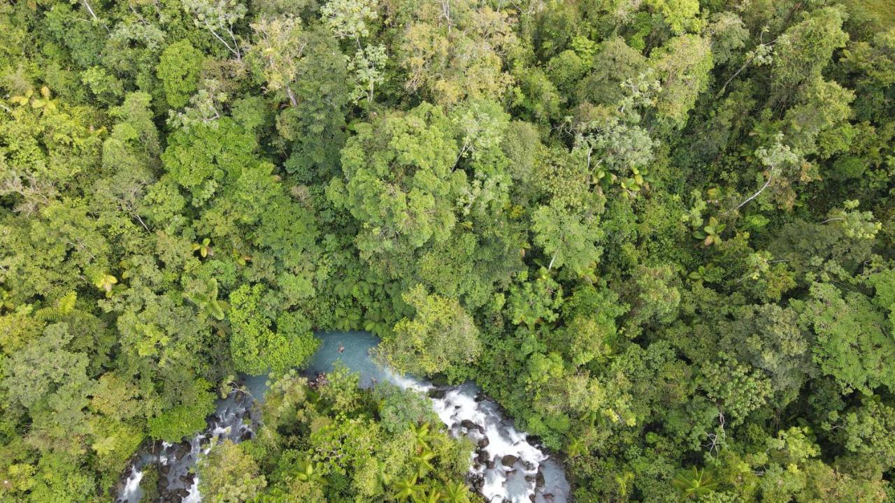 Rio Celeste Nature View Apartment Upala