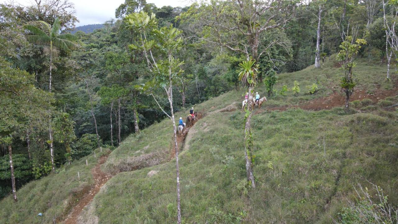 Apartment Rio Celeste Nature View *